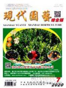 枯山水在庭園微景觀設(shè)計中的應(yīng)用