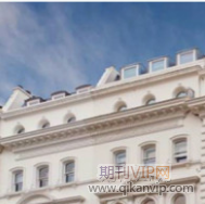 圖書館電子化論文