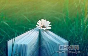 農(nóng)業(yè)種植論文