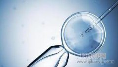 節能降耗技術在電力輸配電線路中的應用分析