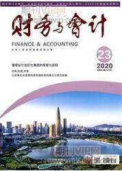 會計師職稱論文