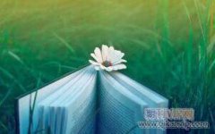 森林防火工作中存在的問題及其對策探究